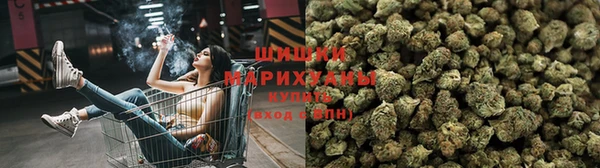 дмт Нефтекумск