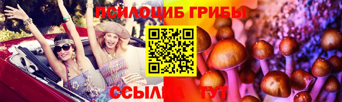Псилоцибиновые грибы Psilocybine cubensis Братск