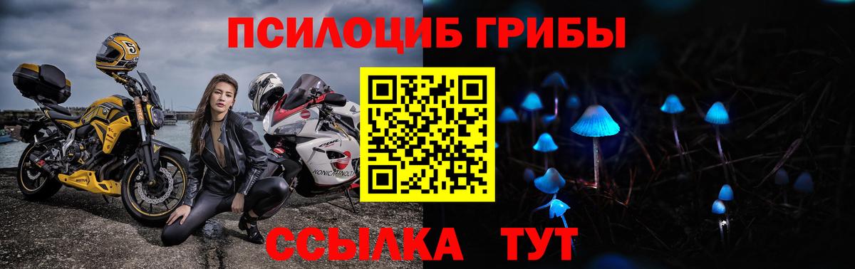 Галлюциногенные грибы MAGIC MUSHROOMS  Братск  наркотики  Галлюциногенные грибы Cubensis 